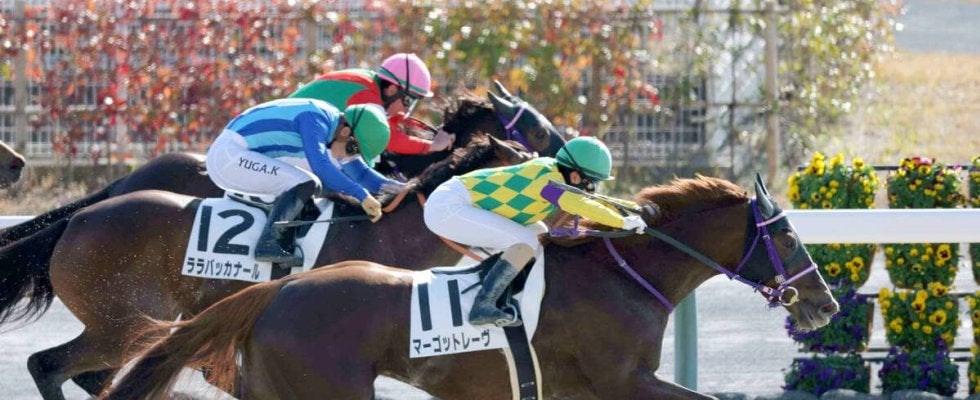 【チャンピオンズＣ】中京ダートは前日から差し有利　決め脚あるウィルソンテソーロが３度目の正直か