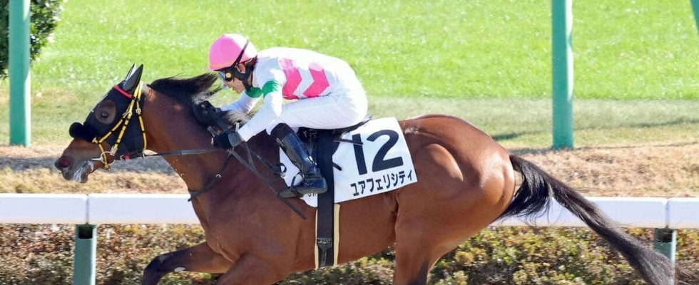 【中山３Ｒ・２歳新馬】厩舎に縁ある血統ユアフェリシティが完勝　原田和真騎手「これからが楽しみ」