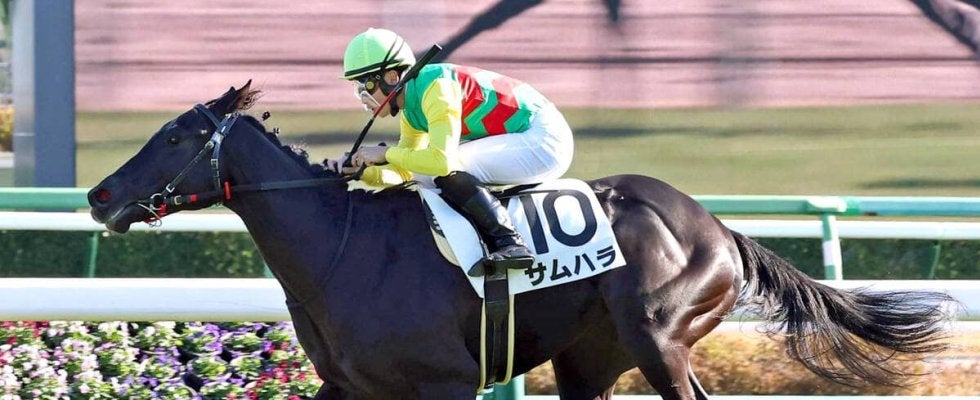 【中山５Ｒ・２歳新馬】サートゥルナーリア産駒サムハラ快勝　石田拓郎騎手「幼さを残した中で勝てて良かった」