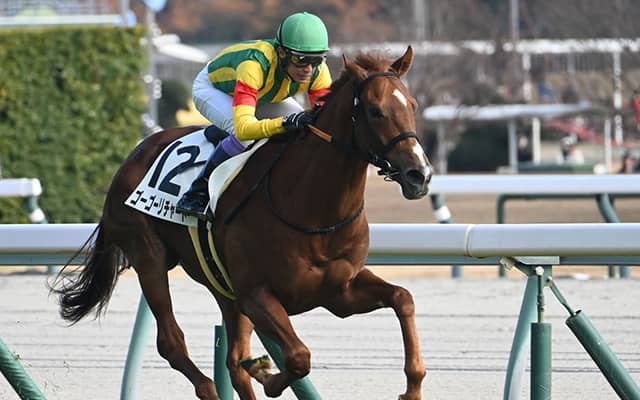 【中京5R新馬戦結果】スワーヴリチャード産駒ゴーゴーリチャードが初陣飾る