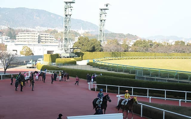 【阪神5R新馬戦結果】アンソニーがゴール前で差し切り勝ち M.デムーロ騎手、JRAでは6月15日以来の勝利