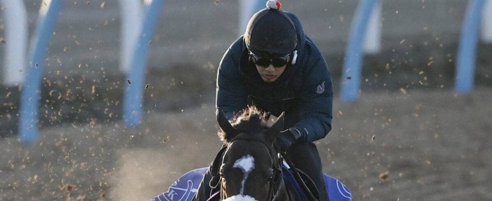 【チャンピオンズカップ】馬トク外厩情報…傾向が読みにくい年　唯一のノーザンファーム天栄帰りが浮上する可能性