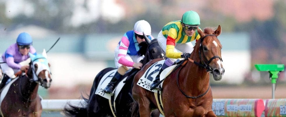 【中京５Ｒ・２歳新馬】５番人気ゴーゴーリチャードが２番手から抜け出す　武豊騎手「いいスピードを持っている」