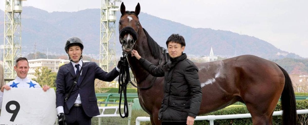 武幸四郎調教師が阪神５ＲでＪＲＡ通算２００勝達成「たくさんの方のお力添えのおかげです」