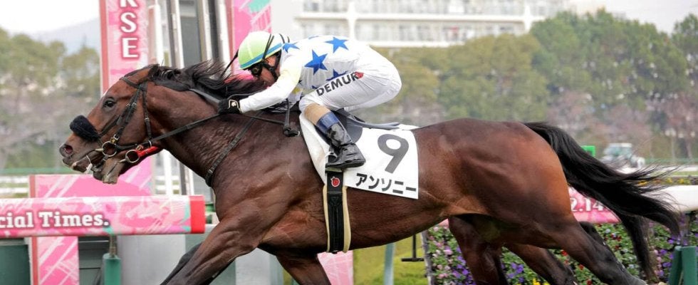 【阪神５Ｒ・２歳新馬】アンソニーが差し切りＶ　Ｍデムーロ騎手はＪＲＡで６月以来の勝利「よかった！」