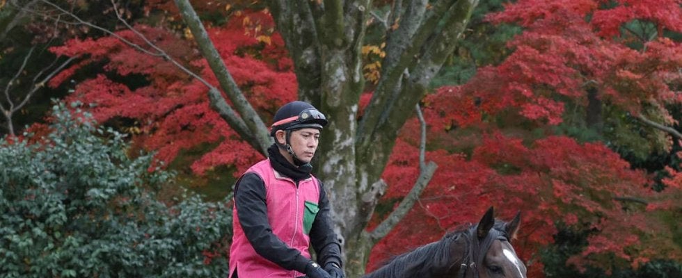 日曜中京競馬場の注目激走馬…中京１１Ｒチャンピオンズカップ・Ｇ１