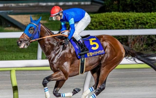 【チャンピオンズC・馬体重】ナルカミは508kg(+3)、ダブルハートボンドは474kg(-2)