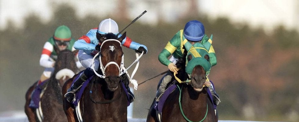 【チャンピオンズＣ】ダブルハートボンドが鼻差の接戦を制しＧ１初挑戦Ｖ　坂井瑠星騎手「素晴らしいのひと言です」