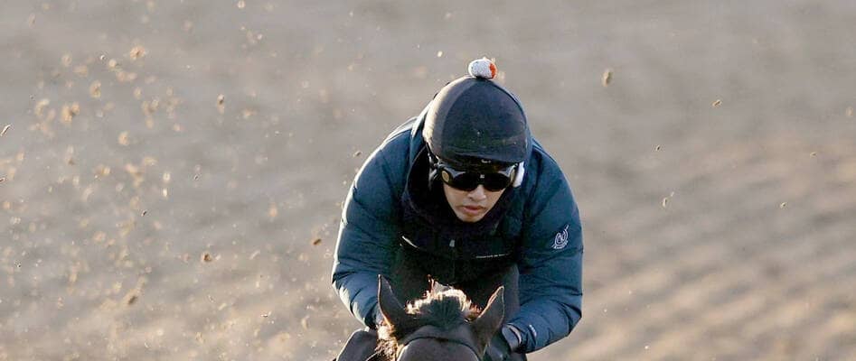 【チャンピオンズＣ】ルメール騎手騎乗のシックスペンスは１１着　初ダートだった南部杯は２着好走も…