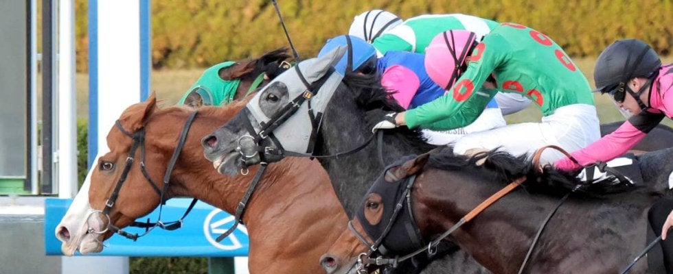 【阪神１１Ｒ・りんくうＳ】メイショウホウレンが競り合いを制す　鮫島克駿騎手「最後出てくれて良かった」