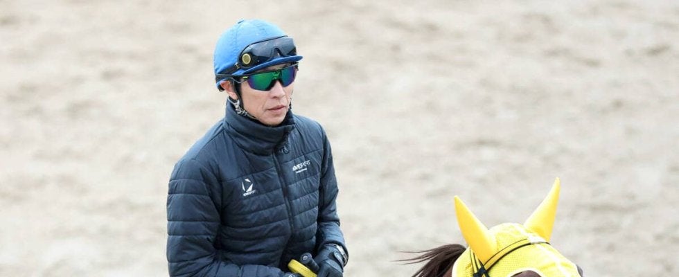 【チャンピオンズＣ】８歳馬メイショウハリオ４着　武豊騎手「思ったより４角で外へ振られて…」　東京大賞典出走も
