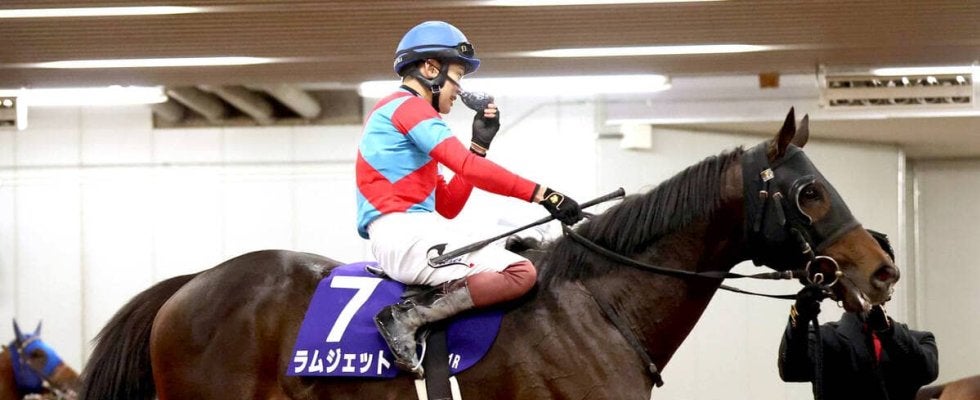 【チャンピオンズ】７番人気ラムジェットが外を追い上げゴール前で３着浮上　三浦皇成騎手「成長を感じる内容」