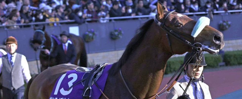 【チャンピオンズＣ】ベストターンドアウト賞はサンライズジパングの平井助手が受賞　「普段から意識して…」