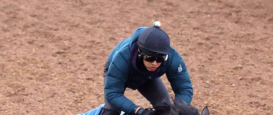 【チャンピオンズＣ】シックスペンスは早々に失速１１着　ルメール騎手「もう少しリラックスしてほしい」