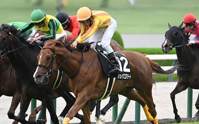 【中日新聞杯】シェイクユアハート、ファミリータイムらが登録