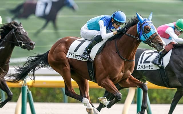 【朝日杯FS】アドマイヤクワッズ、リアライズシリウスらが登録