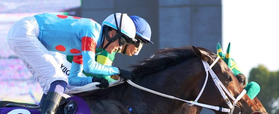 【チャンピオンズＣ】わずか９センチ差！ダブルハートボンド、激闘制し１０年ぶり牝馬Ｖ！瑠星騎手「（この馬と）４連覇、５連覇したいです」