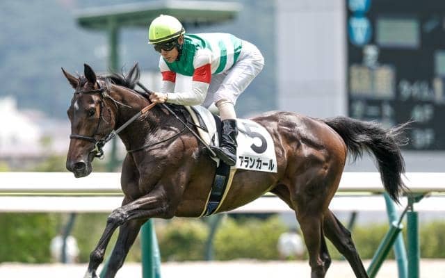 2歳女王決定戦・阪神JFなど3重賞/今週の競馬界の見どころ