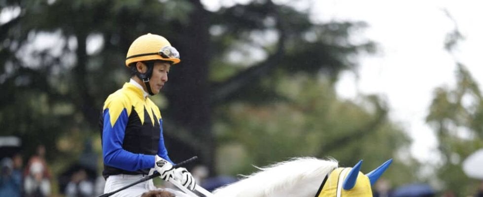 【阪神JF登録馬】白毛馬マルガなど26頭