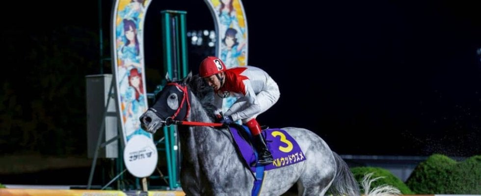 【佐賀・九州産グランプリ】“体の芯がしっかり”と成長示す…ベルウッドウズメが3馬身差完勝