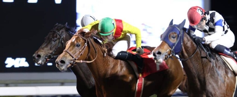 【高知・長浜特別】大混戦の直線叩き合いを制す！ サノノエスポが準重賞勝利