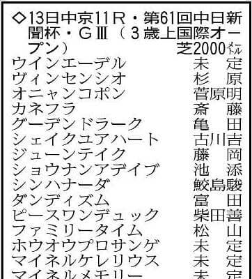 【中日新聞杯展望】素質が開花したシンハナーダが中心　コース巧者のファミリータイムも好勝負に