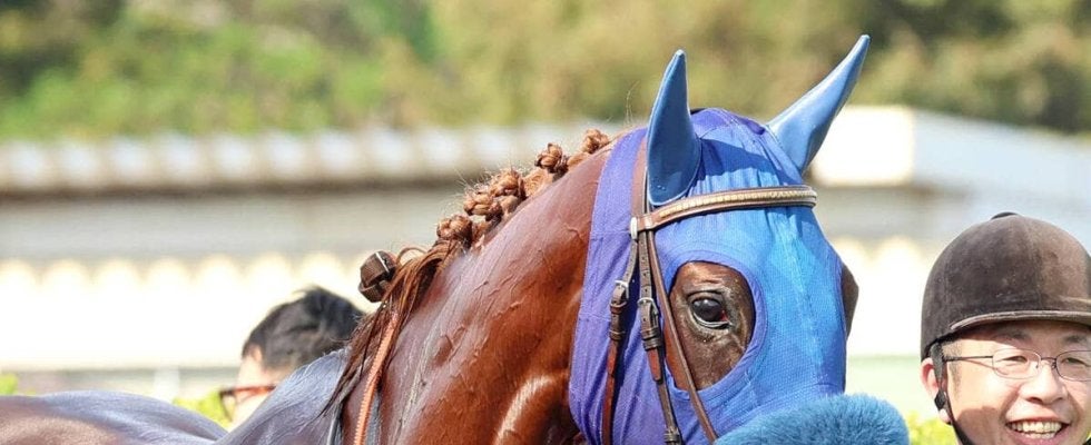 【阪神ＪＦ・イシゴーの特注馬】センスの高さは疑う余地がないアルバンヌ　２度目の栗東滞在で万全期す