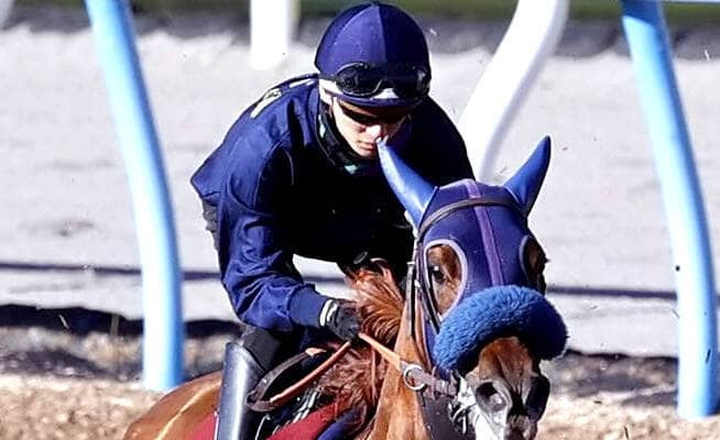 【阪神ＪＦ・山下の特注馬】２連勝中のアルバンヌに期待　栗東滞在で調整も万全
