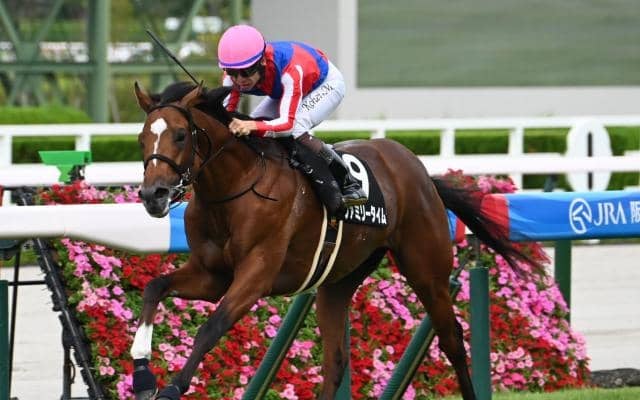 【中日新聞杯見どころ】勢いあるファミリータイムに注目