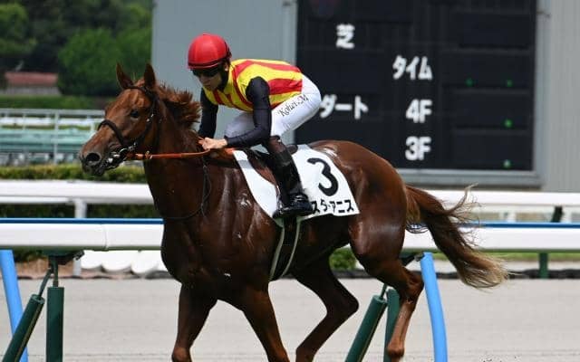 【阪神JF見どころ】切れ味抜群スターアニスが戴冠を狙う