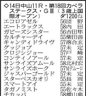【カペラステークス展望】交流重賞３連勝中の３歳ヤマニンチェルキは中央でも　得意の距離ならチカッパも