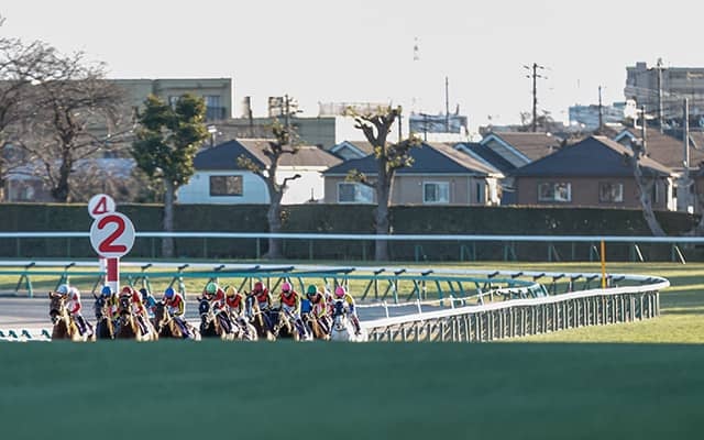 最終話を迎える日曜劇場『ザ・ロイヤルファミリー』 個人馬主で有馬記念を勝つのはどのくらい難しい？