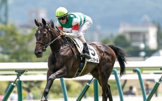 【阪神JF想定騎手】アランカールは北村友一騎手、マーゴットラヴミーは武豊騎手