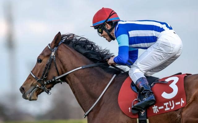 【ステイヤーズS】売上は35億8250万8400円で昨年より約3.7億円増加