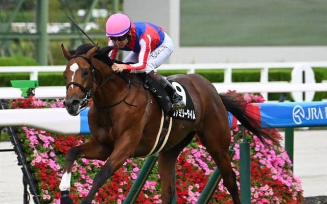 【中日新聞杯想定騎手】ファミリータイムは松山弘平騎手、シェイクユアハートは古川吉洋騎手