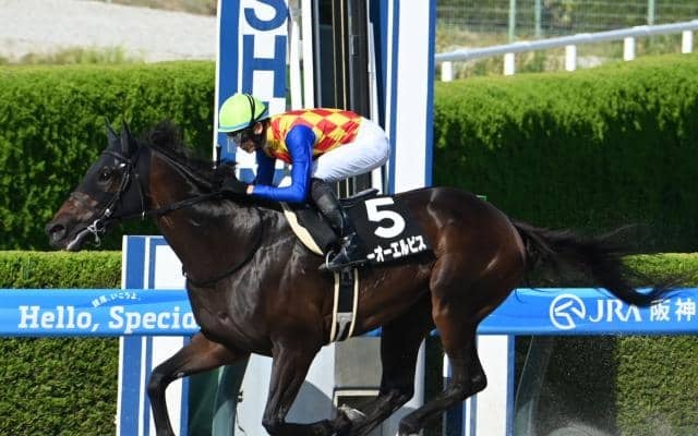 【カペラS想定騎手】テーオーエルビスは鮫島克駿騎手、ガビーズシスターは吉田隼人騎手