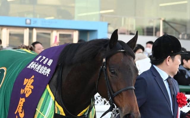 【鳴尾記念】売上は32億8979万9500円 今年から12月開催に移行