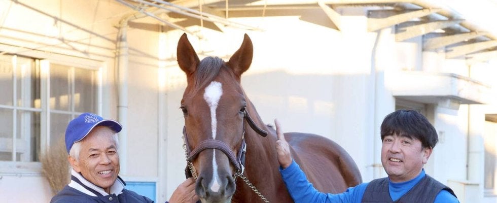 【阪神ＪＦ】来春定年引退の国枝調教師がヒズマスターピースで１０度目となる最後の挑戦　アパパネ以来の王道ローテＶへ