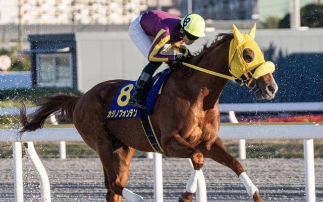 【船橋記念枠順】ラストランのカジノフォンテンは6枠10番