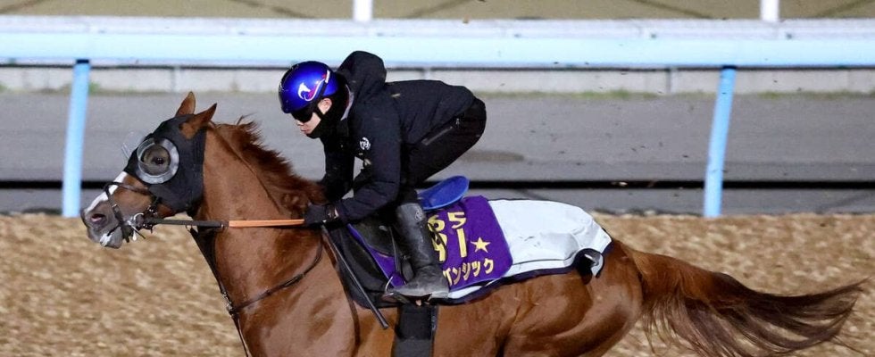 【香港ヴァーズ】アーバンシックは平坦狙って香港へ　武井調教師「香港の方が総合的にみてチャンス」