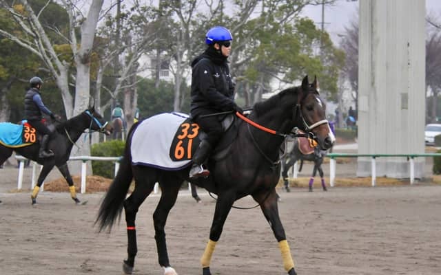 母は米ダート重賞3勝 セレクト2億超のセツナサが初陣/関東馬メイクデビュー情報