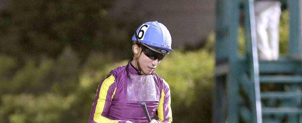 「THEカジノドライヴ」「行きたい！休みたい」地方の雄９歳馬の引退発表にファン涙　最終戦へエール続出