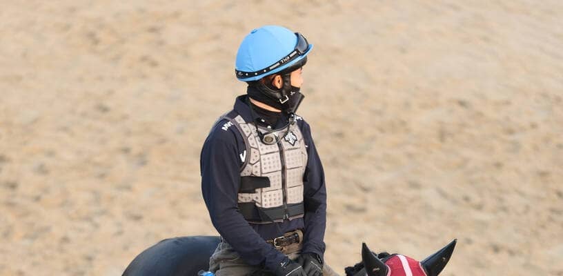 【中日新聞杯】２４年京都新聞杯勝ち馬ジューンテイクが好気配　武英調教師「体も若々しいし、動きもいいですよ」