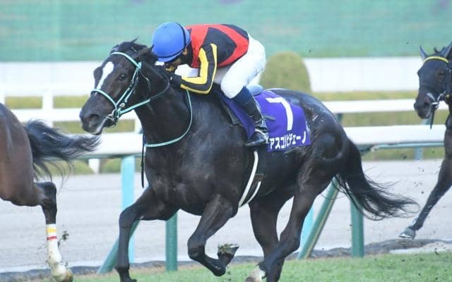 阪神JFの勝ち時計ランキング 一昨年の無敗制覇が最速の2歳女王