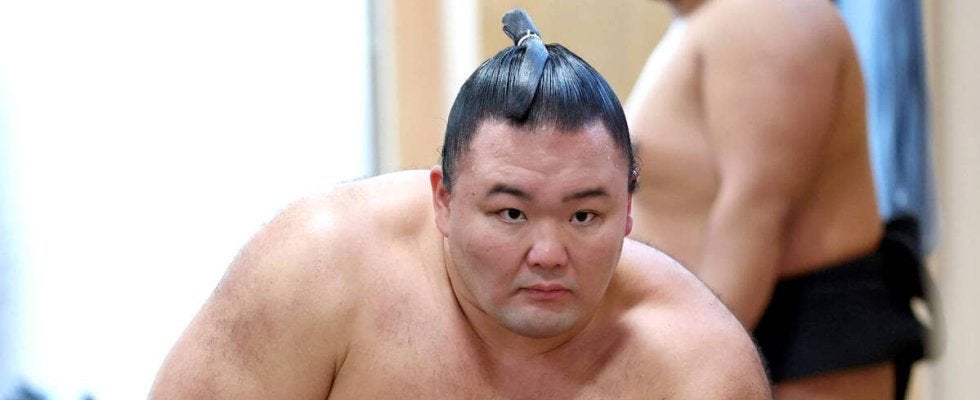 来年初場所で再入幕確実な朝乃山がマイペース調整「年越ししてからが勝負」