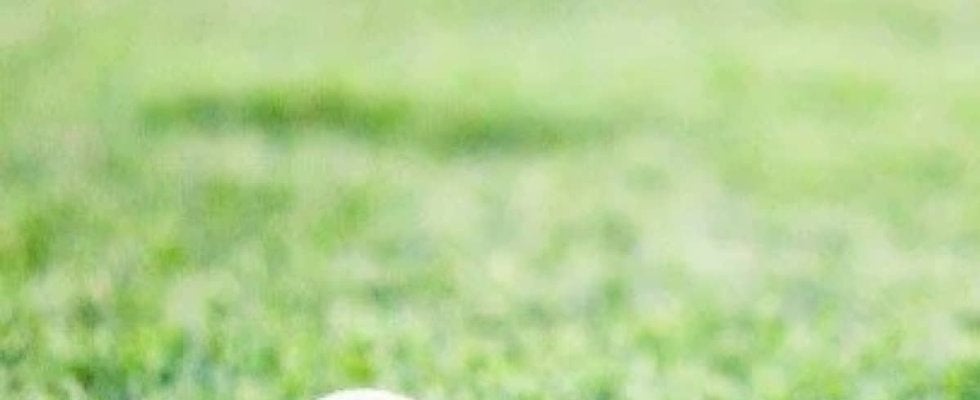 【現役ドラフト】今年の結果発表は何時になる？22、23年は17時過ぎ、昨年は初の2巡目指名で18時過ぎに公開