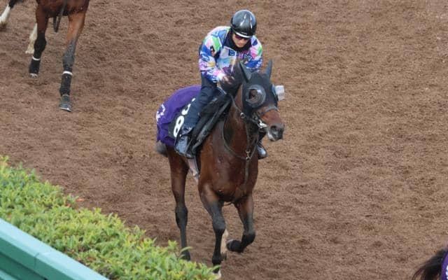 ララファキュルテなど、先週の入厩情報/栗東トレセンニュース