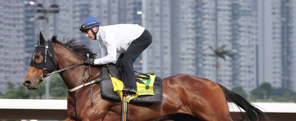 【香港スプリント】１６連勝見えた！？「動きは文句のつけようがない」カーインライジングにＺ・パートン騎手は自信満々　
