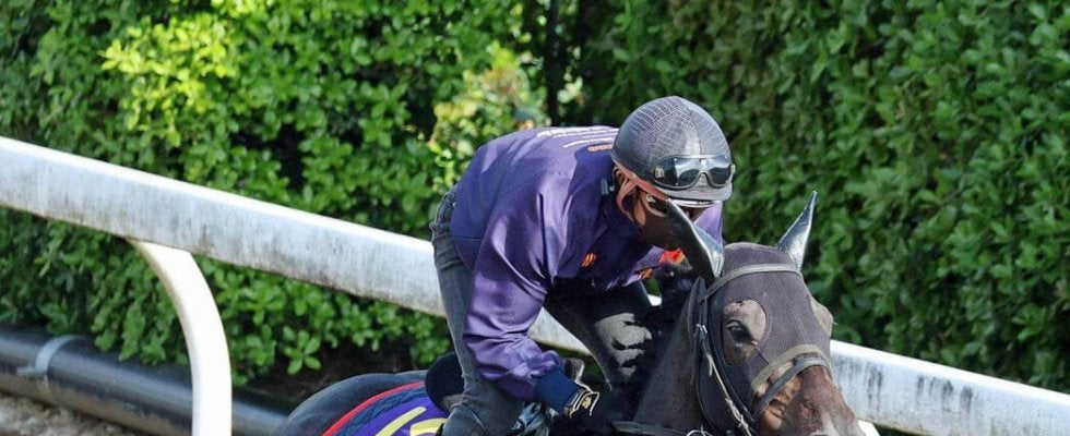 【注目馬動向】今年の天皇賞・春を制したヘデントールはアメリカＪＣＣや京都記念を復帰戦の候補として検討