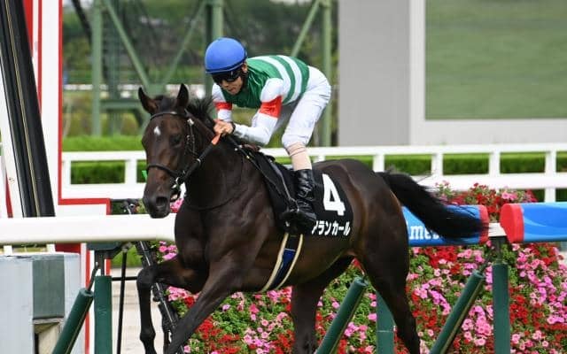 【阪神JF予想オッズ】アランカールが予想1番人気